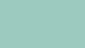 minty momments portada