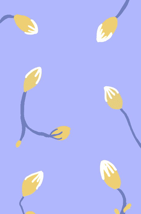 bloom_florecer